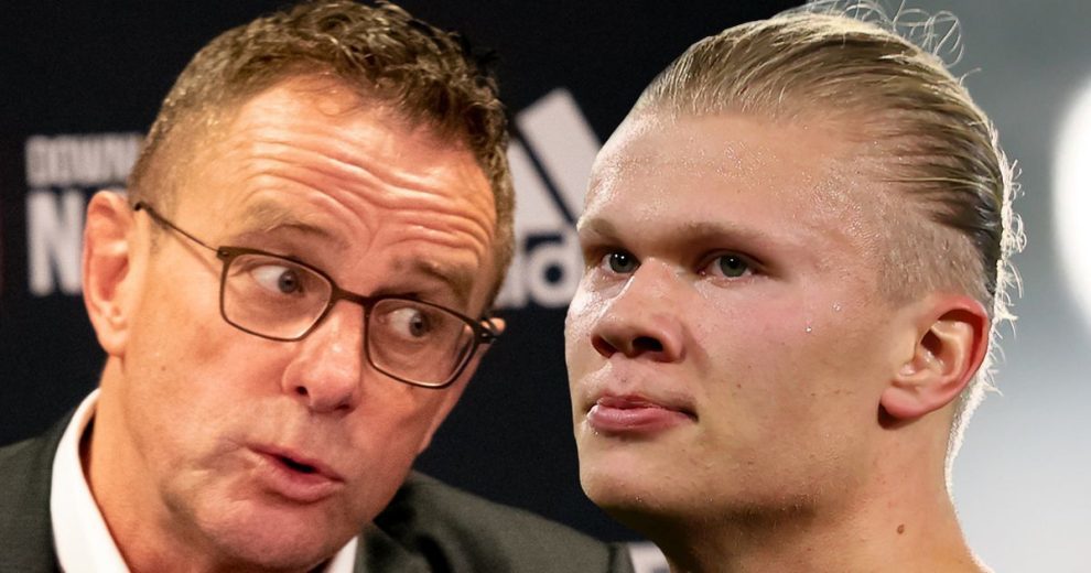 20赔率投 20赔率投